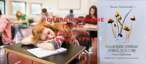 гидра Армянск
