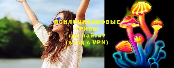 гидра Армянск